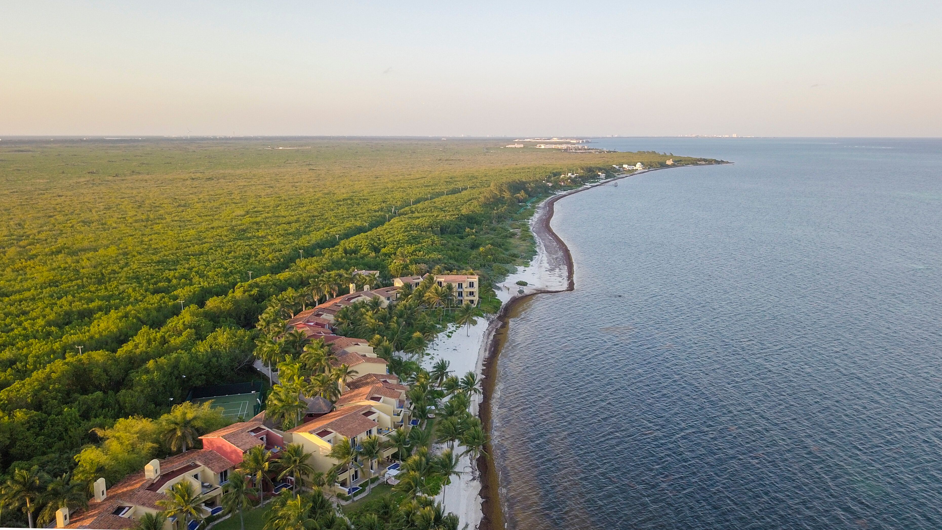 Mexico Is Saving Its Coral Reef From Hurricanes With A One-Of-A-Kind Plan